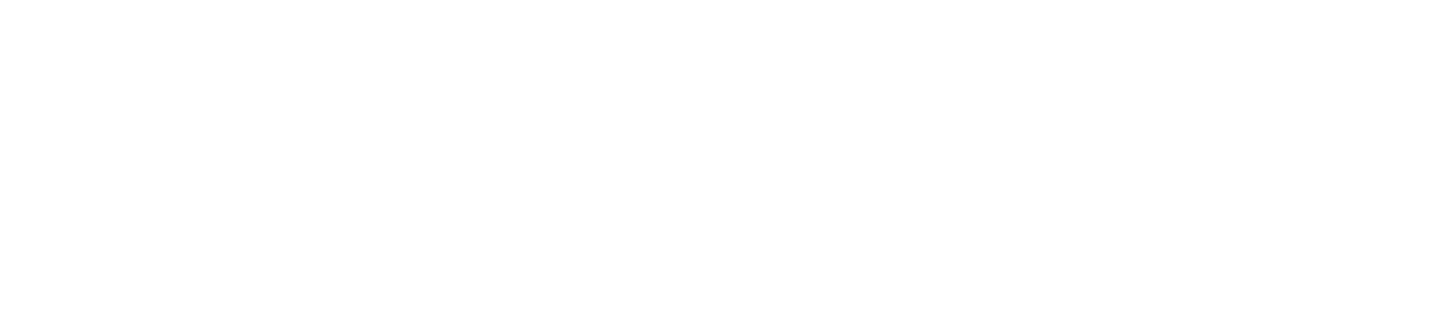 Space Zone India logo